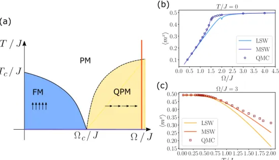 Figure 2.2: Phase diagram of the transverse field Ising model - (a) shows a schematic phase diagram for the ferromagnetic transverse field Ising model, FM standing for ferromagnetic, PM for paramagnetic