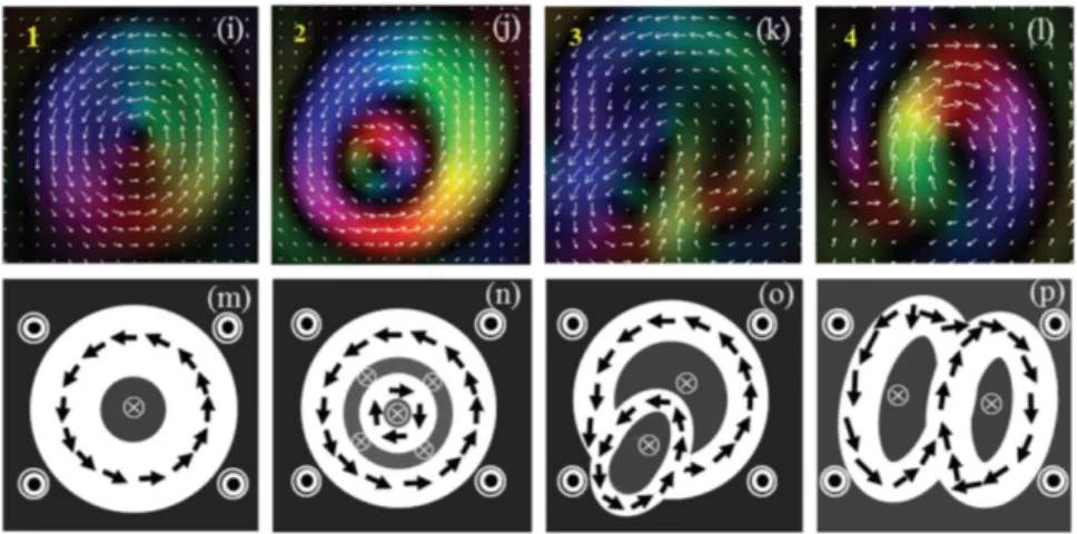 Figure 1.20: Magnetization of skyrmion bubbles in La 0.825 Sr 0.175 MnO 3 and schematic of their topology [104].