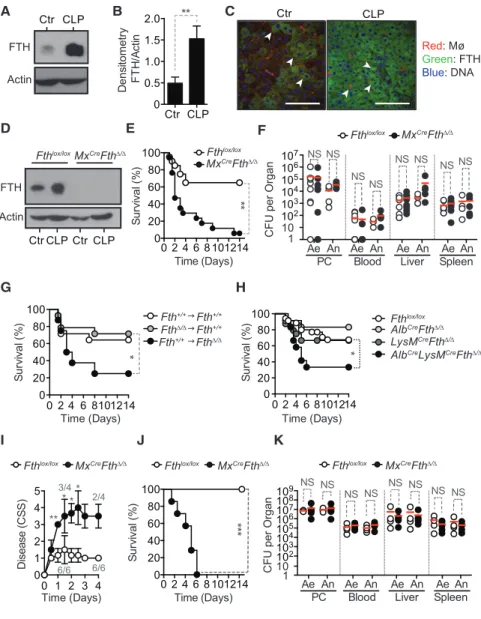 Figure 1. FTH Establishes Disease Toler- Toler-ance to Sepsis