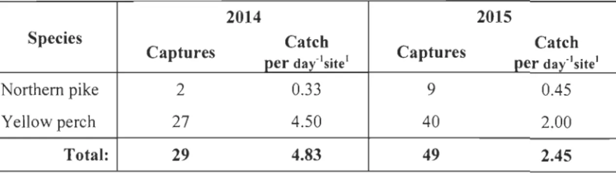 Table  1.  Northem  pike  and  yellow  perch  relative  abundances  under  the  ice  of Lake  St