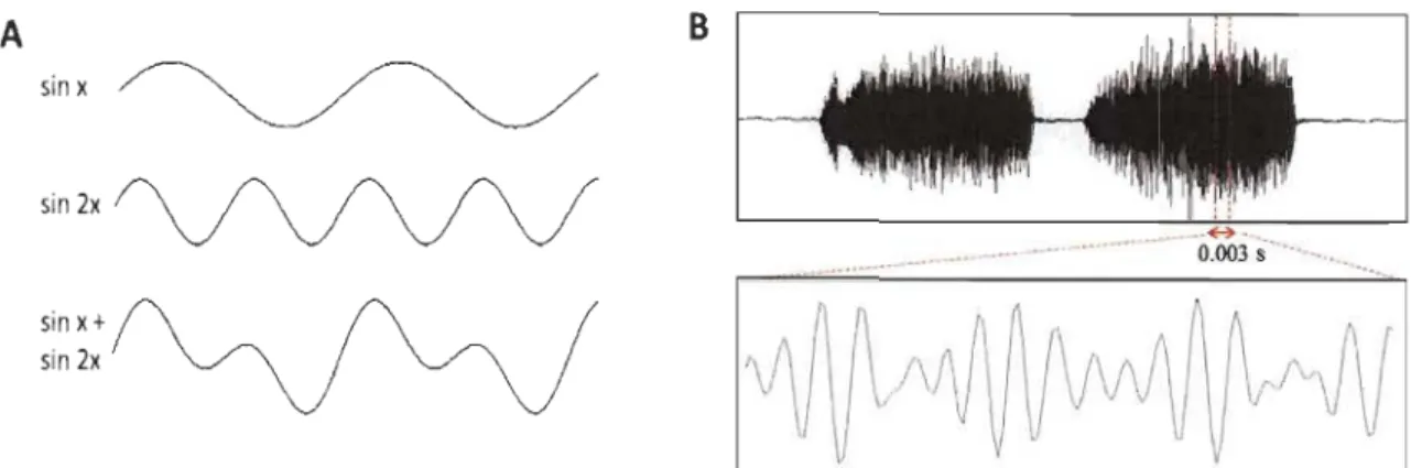 Figure  3.  Representation  of a  complex  sound  wave.  A)  Complex  sound-wave  decomposition 