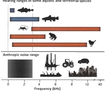 Figure  5.  Hearing  ranges  of  sorne  aquat ic  and  terrestrial  species  and  frequency  range  of  anthropic  noise