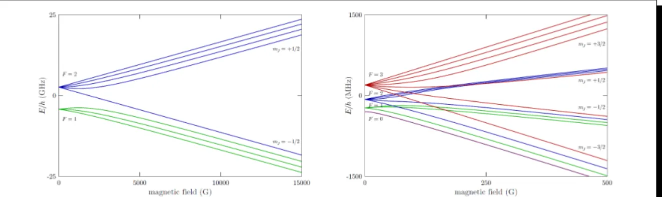 Figure 1.4: Hyperne strutures in an external magneti eld: ground levels 5 2 S 1/2