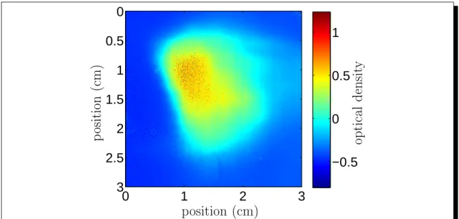 Figure 1.26: T ypial absorption image of the MOT. The frequeny of the probe beam