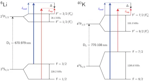 FIG. 1. (Color online) Cooling scheme on the 6 Li and 40 K D 1 lines. The cooling beam (blue) is blue detuned by δ cool from the |F = 3/2 → |F h′ = 3/2 (|F = 9/2 → |F h′ = 7/2) transition, where F h′ (F l ′ ) is the upper (lower) excited-state level