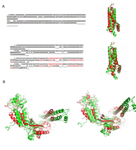 Figure  8.  Features  of  the  iPBA  algorithm.  (A)  Comparison  of  structures  of  pyrophosphatases  (PDB  codes:  1VMG  and  2GTA),  based  on  the  PB  sequence  alignment  (top)