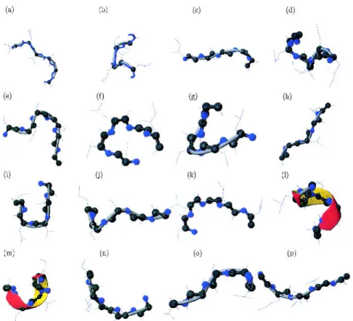 Figure 1 describes the C ␣ trace of the 16 PBs we deter- deter-mined previously. The approximation of local structures is