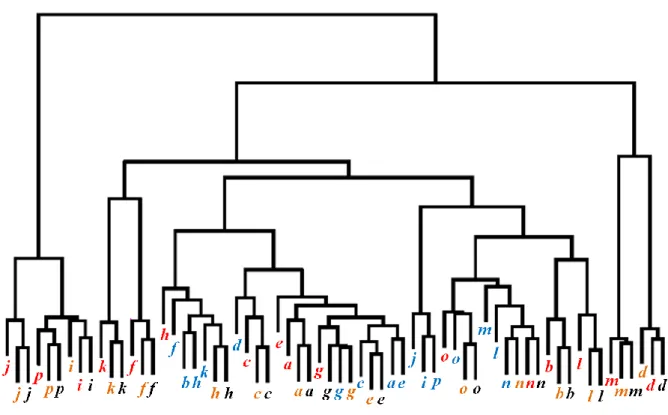 Figure 5 – Clustering of the amino acid sequence – protein structure relationships associated  with  PBs