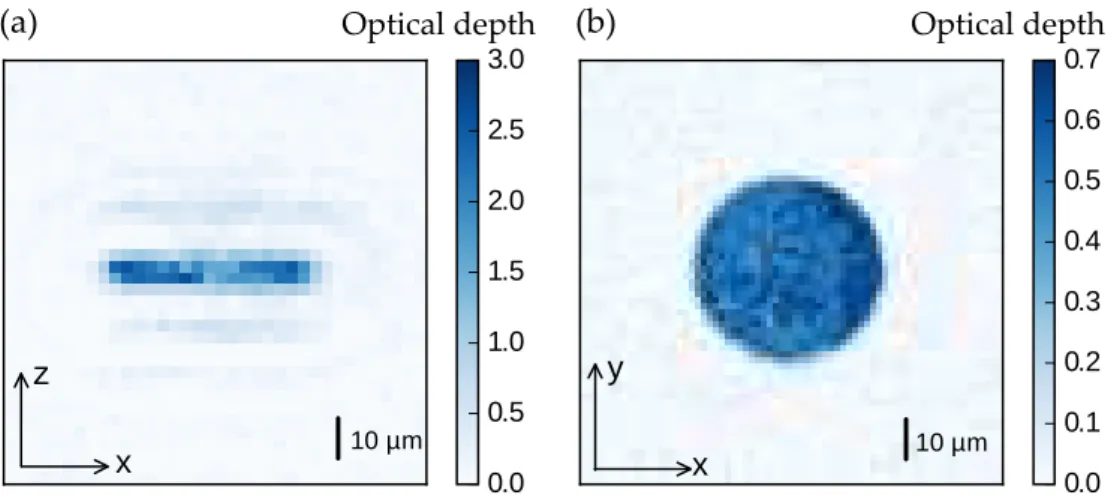 Figure 2.4 – In situ absorption images from the horizontal axis in (a) and vertical axis in (b)