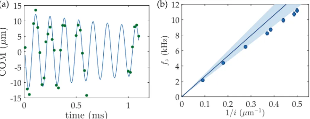 Figure 2.5 – Measured vertical oscillation frequencies. In (a) is shown an example of measure of frequency after a TOF of 12.7 ms