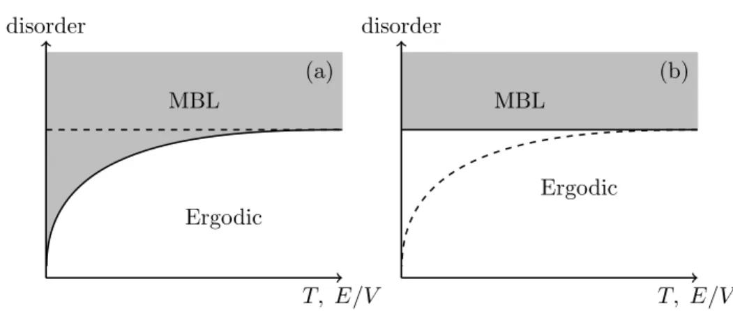 Figure 1.4: Schematic possible phase diagram of MBL systems, in (a) with a many- many-body mobility edge and in (b) without a many-many-body mobility edge
