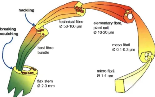Figure 1-2.  Schematic representation of flax  fibers processing, from  stem to micro fibrils  [3 ]