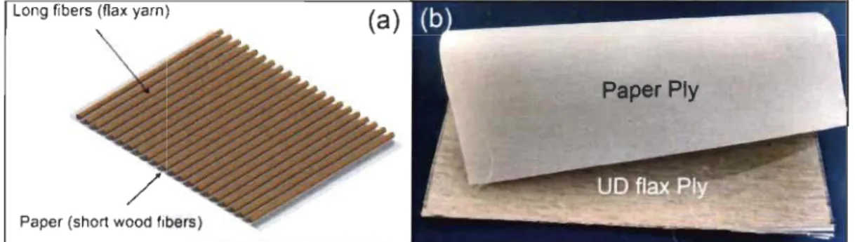 Figure 2-3 . Unidirectional flax/paper rein forcement, (a) schematic representation, (b) labor- labor-atory-made sample 