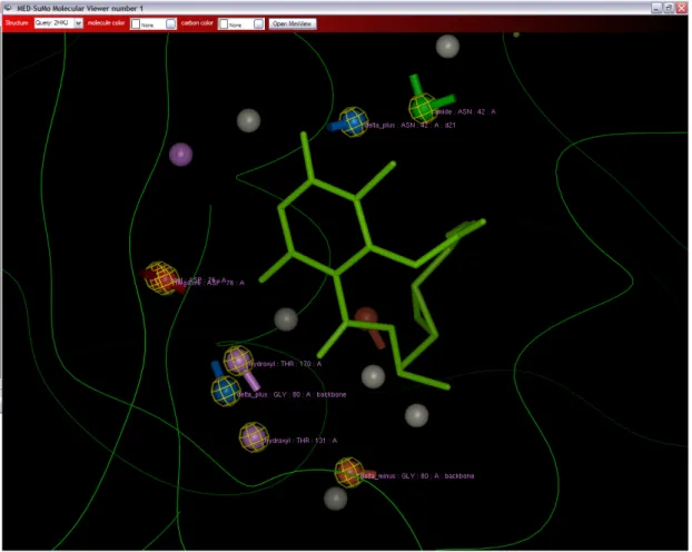 Figure 8: A close view around the radicicol ligand. The eight labelled SCFs (circled  in yellow) are shared by all superimposed structures in figure 7