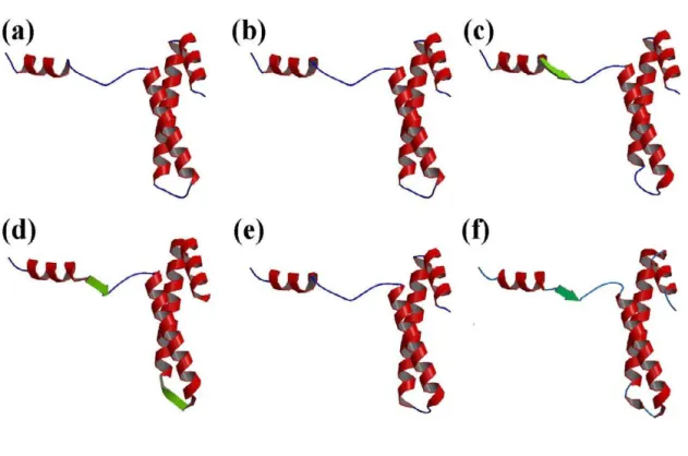 Table 2: Description of Protein Blocks in short loops. The analysis is carried out in the short loops regions, i.e