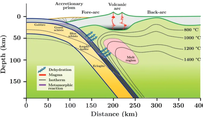 Figure 5 – Simpliﬁed 2D view of a subduction zone. Metamorphic facies are given for the oceanic crust (gray)