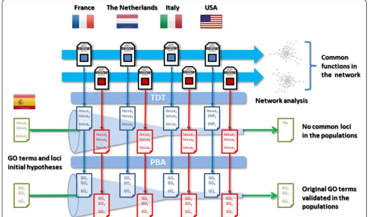 Figure 1 Schema of the analysis strategy used to validate the findings in the Spanish population [17] with the available scattered information about the four additional populations present in the consortium.