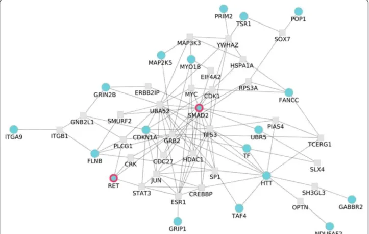 Figure 4 Significant sub-network of 53 genes, allowing for one intermediate gene, associated to HSCR (p-value = 0.027) in the Nsp chip