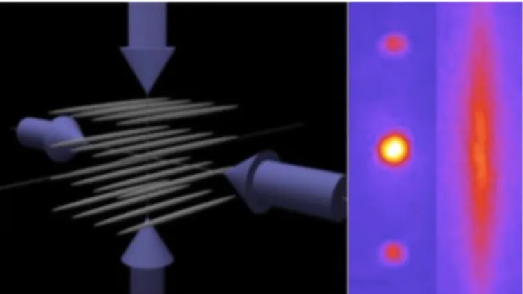 Figure 1.1: One-dimensional tubes of Bose gases in actual experiments, which is created by 2D optical lattices with strong amplitudes.