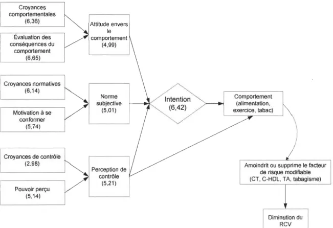 Figure  4  Relations  entre  les  croyances,  les  concepts  indirects  et  les  concepts  directs