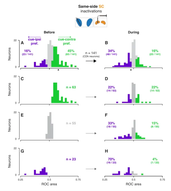 Figure 3. Effects of same-side SC inactivation on cue-side preferences in continuously isolated CDh neuron subpopulation