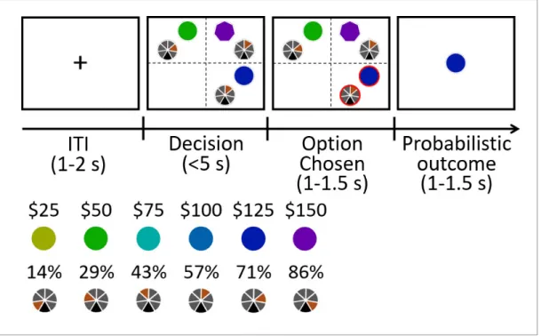Figure 7. Experiment 8: eye tracking experiment. The behavioural paradigm was adapted from that used in Experiments 1–7