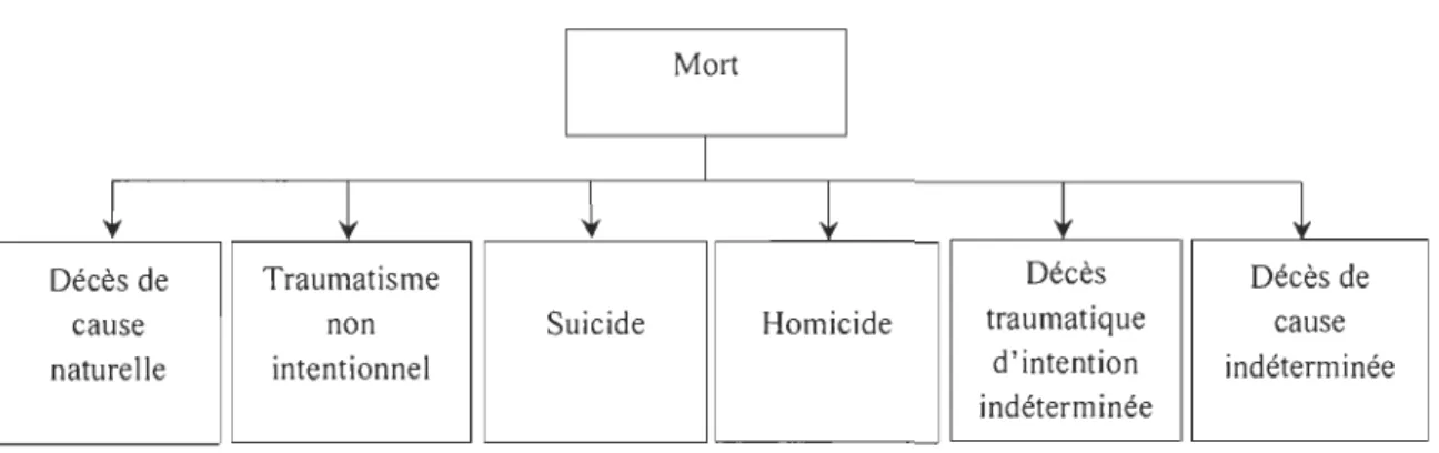 Figure  2.  La nomenclature des modes de morts selon les coroners. 