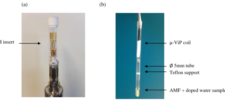 Figure  1  shows  the  head  of  the  micro-imaging  probe  (a)  and  the  model  sample  (b),  which  consisted of a 5mm diameter tube filled with AMF inside a 10mm diameter tube containing  doped and deuterated water (Tube 1)