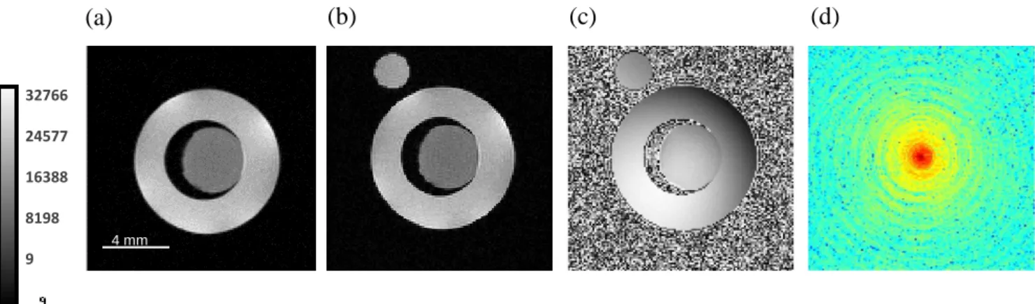 Figure 4 shows images of AMF (object of interest) surrounded by a physical phantom (water)  with the generation of µ-ViP at 15°C (Figure 4a) and 35°C (Figure 4b)