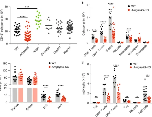 Fig. 8 | ARGHAP45 is crucial for proper T and B cell migration. a, Quantification of CD45 +  cells in the blood of wild-type mice and of F 0  mice with biallelic  deletions of the Arap1, AI467606, Arhgap45, Cep85l and Nap1l4 genes