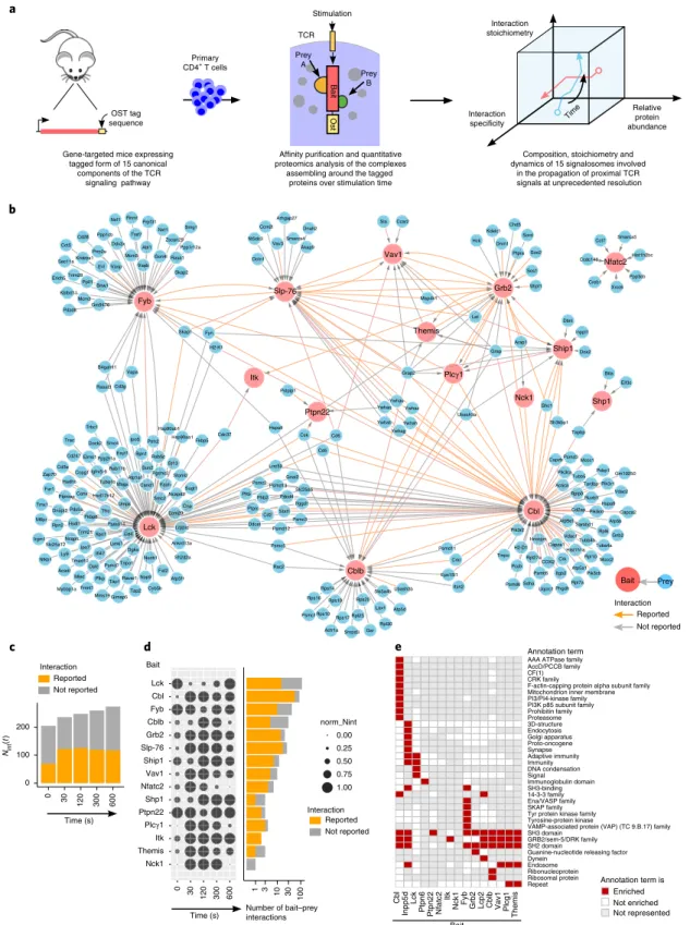 Fig. 1 | Composition of the protein–protein network assembling around 15 canonical proteins of the TCR-signaling pathway over 600 s of stimulation