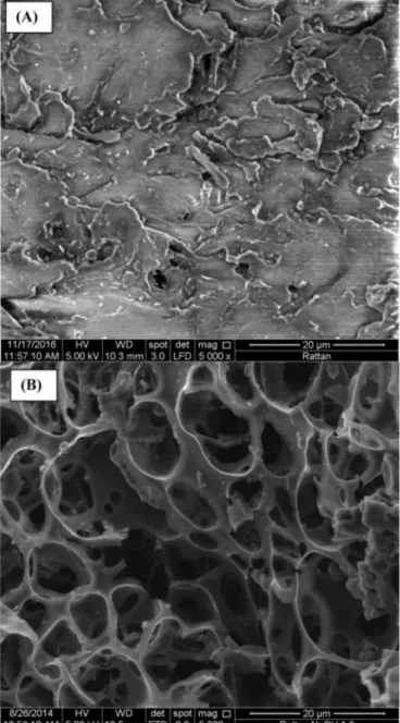 Fig. 13. SEM images of (A) raw rattan and (B) rattan-based activated hydro- hydro-char  HAC  at  5000  � magnification  (Reprinted  from  Ref