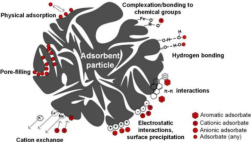 Fig. 18. Possible adsorption mechanisms on a hydrochar adsorbent particle (Reproduced with permission from Ref