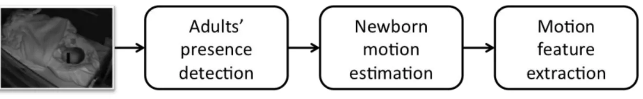 Figure 1: Global framework.