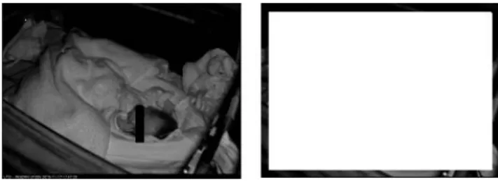Figure 3: Example of reference border selection.