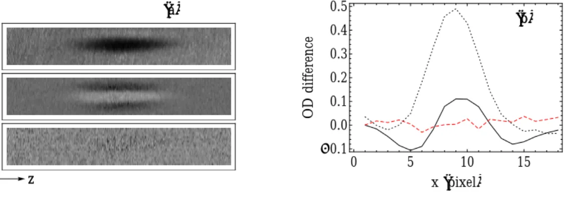 Figure 2.12: Imaging spin-balanced Fermi gases: (a) Absorption Images of the spin states | 1 i and