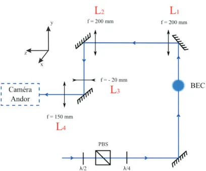 Figure 1.11: Setup of the new optical imaging system (adapted from [37]).