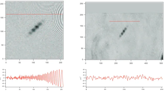 Figure 1.13: Top: Images of the atomic sample with and without the fringe removal algorithm