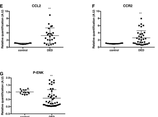 Figure 2. Scatter dot plots of relative quantification of HLA-DR (A) IL-6 (B), CXCL12 (C), CXCR4 (D), CCL2 (E), CCR2 (F), and P-ENK (G) mRNA by RT-qPCR analysis in control subjects and patients with DED
