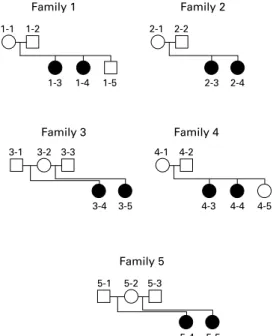 Figure 2 Transmission of the totally skewed XCI pattern in family 3. Numbering of subjects is the same as in fig 1