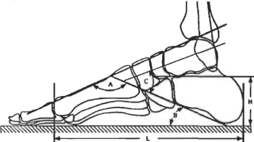 Figure 1.  Méthodes de mesures radiographiques, plan sagittal et vue médiale (adapté de  Saltzman, 1995) 