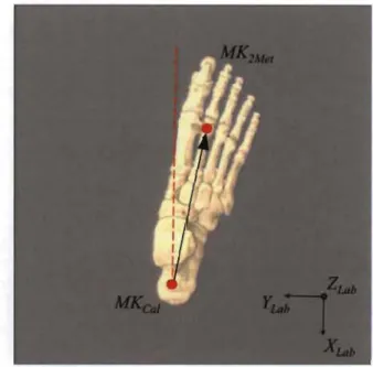 Figure 4. Reproduction de  la position du pied sur une plate-forme de force au  sol  selon une vue transverse de  la face  dorsale du  pied