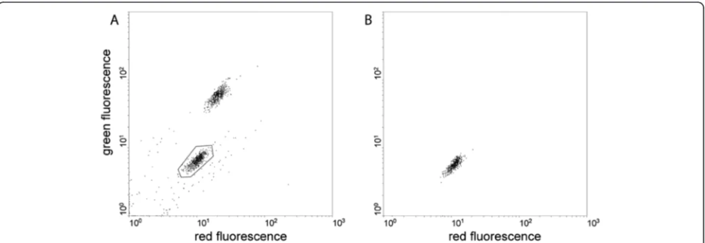Figure 4 COPAS-assisted sorting of a pure population of non-transgenic mosquito males