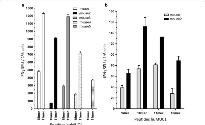 Fig. 1  Representative results for IFNγ Elispots showing CD8‑specific MUC1 responses. a Splenocytes from five immunized HLA‑B*27 mice restimu‑