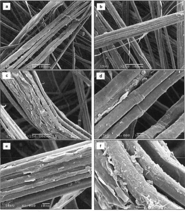 Figure Ill.lI  Clichés MEB des fibres de lin natives (a, d), acétylées-2h (b, e),  acétylées-24h (c,  1)  ;  grossissement x250 et xl000