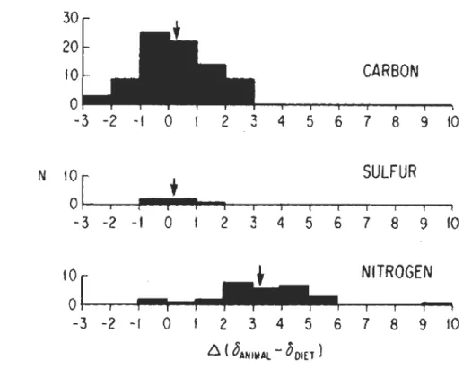 Figure 1.3  Relation  entre  la  composition  isotopique  d'un  animal  et  celle  de  son  régime  alimentaire  pour  les  isotopes  stables  du  carbone,  du  soufre  et  de  l'azote