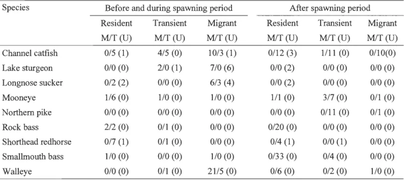 Table  2.  Number  of individuals  captured  in  the  SMR  downstream  of the  Gabelle  Dam,  by  reproductive  period  (before  and  during  spawning;  after  spawning)  contingent  (resident,  transient, migrant),  maturity  (M: stage  4  or  5;  T:  not