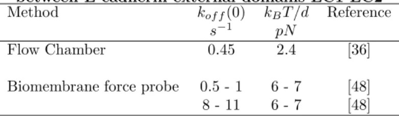 Table 2. Rupture of homophilic associations between E-cadherin external domains EC1-EC2