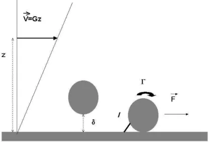 Figure 1: A schematic view of the laminar flow chamber