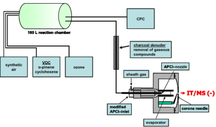 Fig. 1. Sketch of the modified atmospheric pressure chemical ion- ion-ization source (APCI) and the analytical setup used for on-line  mea-surements.